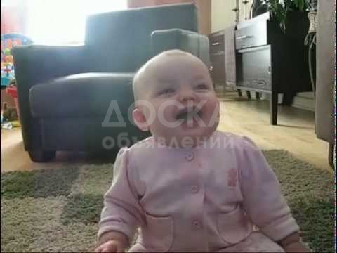 Videorolik.kg - заходите и смотрите смешные видео