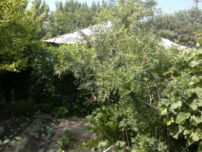 Продаю дом, 3-ком., 53кв. м., этаж-1, 25-сот., стена саман, Сокулукский район, с. Озерное, ул. Северная,