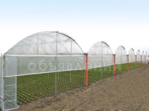 Модульная теплица промышленная/фермерская системы MULTY