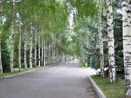 Продаю 1-комнатную квартиру, 27кв. м., этаж - 1/4, c. Ботери.