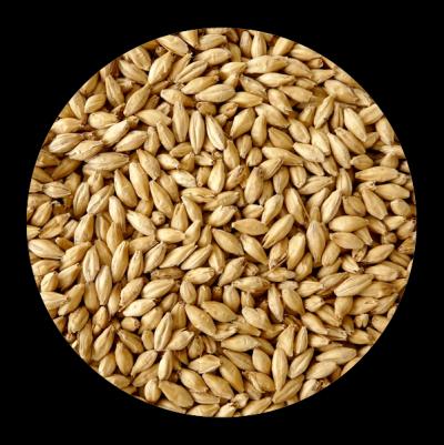 Продаю солод, хмель, дрожжи