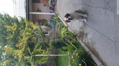 Продаю дом 3-ком. 56,1 кв.мкв. м., этаж-1, 5,27-сот., стена другое, Рабочий Городок, переулок Базарный 11.