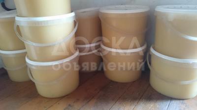 Продаю мёд! Оптом и в розницу.