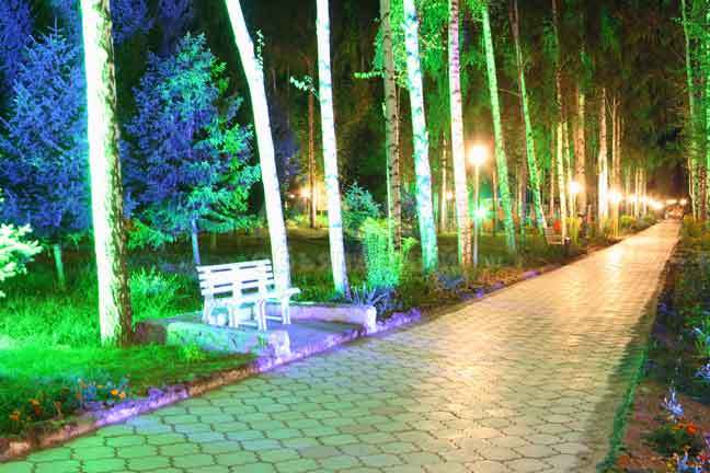 Солемар! Большие скидки на ИЮНЬ! Спешите!