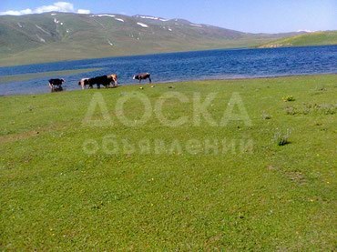 Продаю участок под строительство, 1 соток в Горах, р-н Кемин.