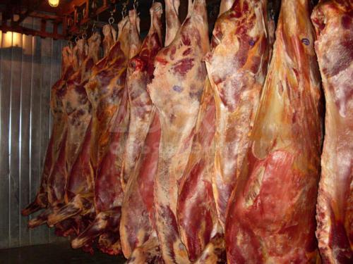 Продаю мясо оптом свежее, натуральное говядина.
