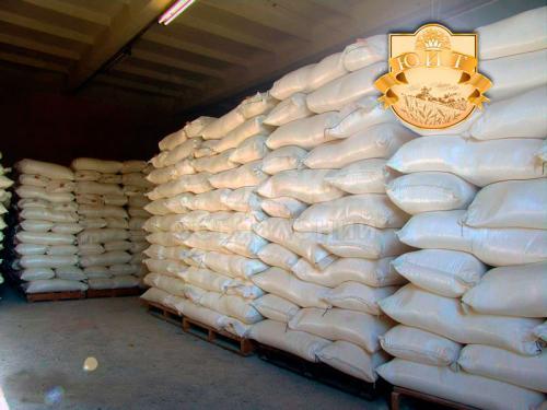 Рис Камолино Кубанский