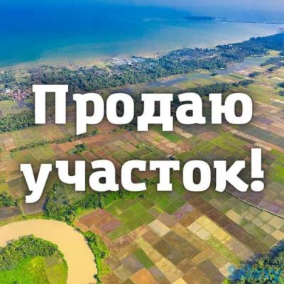 Продаю участок для строительства птицефабрика кошары.