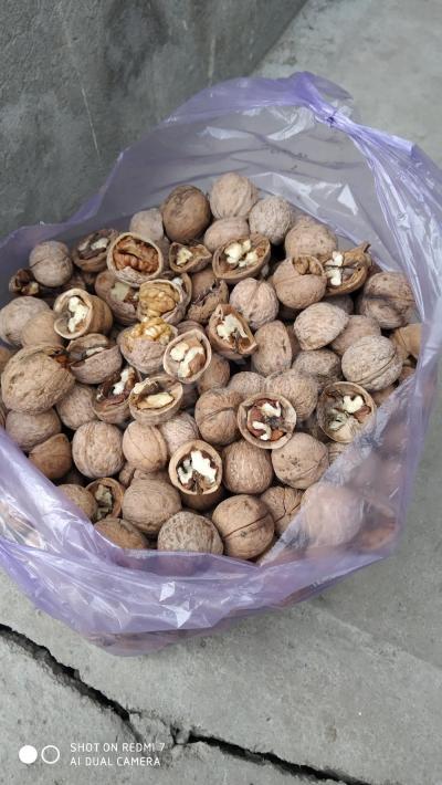 Продам грецкий орех 100 кг.
