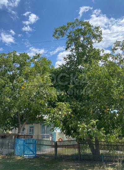 Продаю дом 2+2-ком. 40кв. м., этаж-1, 25-сот., стена другое, Семёновка.