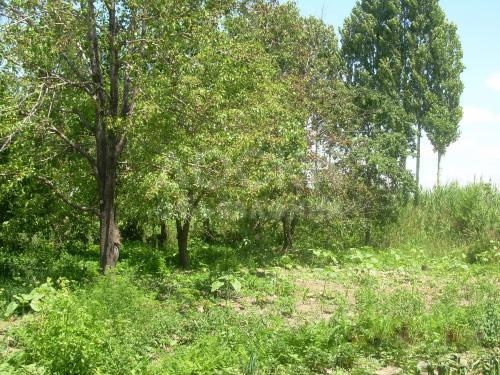 Продаю дом 4-ком., 70 кв.мкв. м., этаж-1, 15-сот., стена кирпич, с. Раздольное(Ак-Жол).