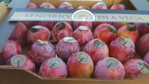 Продаем сливу из Испании