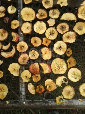 Продаю оптом сухофрукты "Иссык-Кульские яблоки"! Отличное качество!