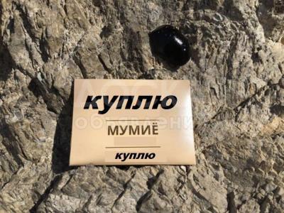Куплю мумие - камень, по 200 сом за 1 кг !
