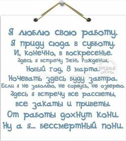 Продаю! Работающий КОНТЕЙНЕР! Дордой - ,,Европа,,