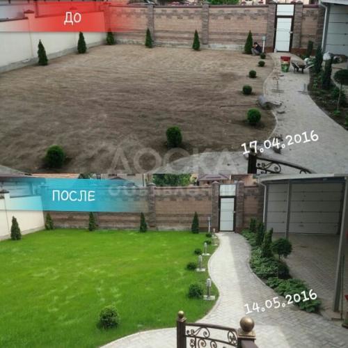 Сеем газон от 100 сом за 1 кв.м.