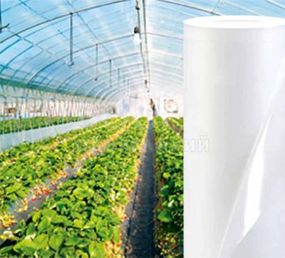 Пленка тепличная ! Мульча толщина, ширина разная, шпагат сеновязальный, ящики овощные 

 

Цены изготовителя, оптовые ! Ниже рыночных ..