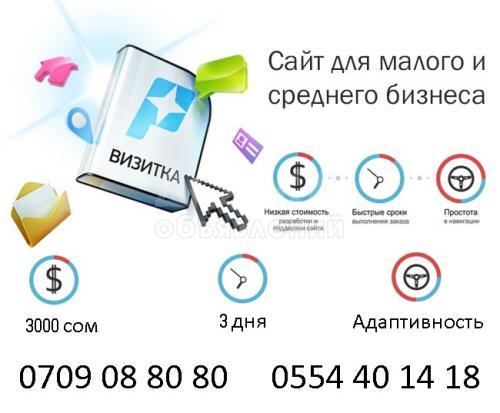 Сайт за 3000 сом