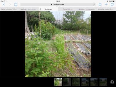 Продаю дачу с.Джарбаш С.Джарбаш.