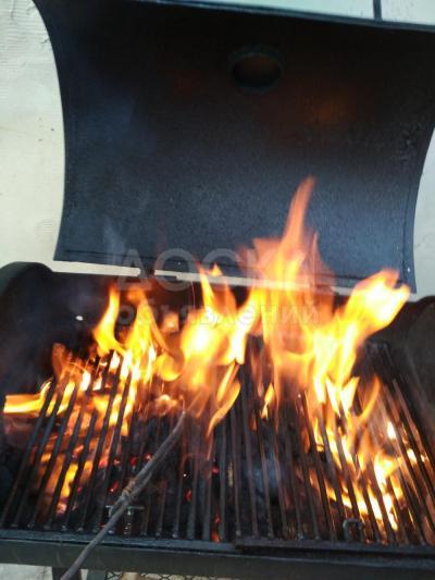 Мангал - гриль + коптилка и барбекю в одном устройстве " Смокер" .