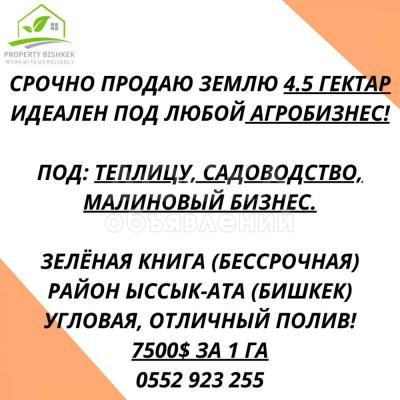 Продаю участок сельхоз назначения, 4.5 га село Сары Жон район Ыссык Ата.