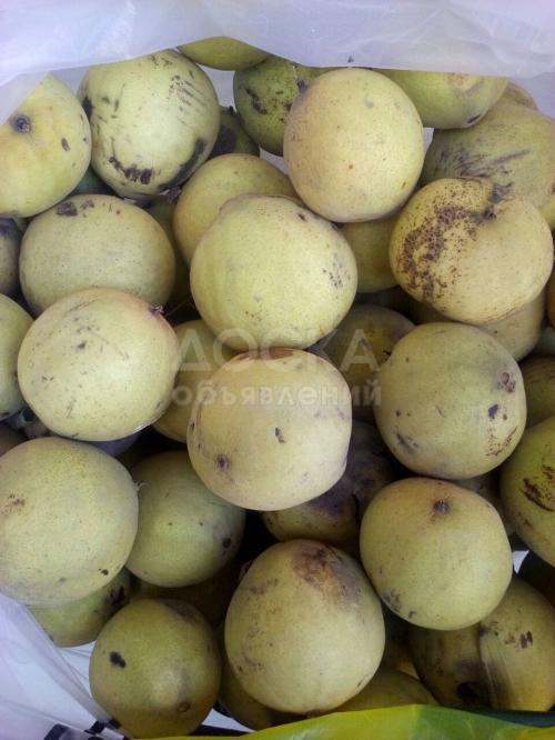 Продаю орехи маньчжурские