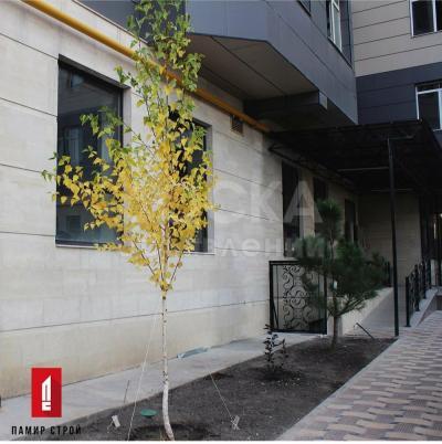 Продаю 3-комнатную квартиру, 101кв. м., этаж - 7/10, Панфилова 124, пересекает Боконбаева.