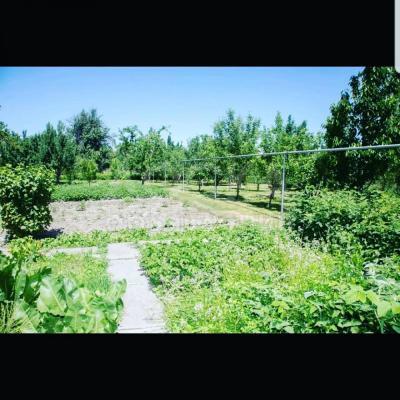 Продаю дом 4-ком. 100кв. м., этаж-1, 20-сот., стена кирпич, С.Романовка.