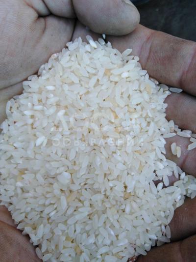 Рис продам 20тонн, в алматы. Цена 170тг с места со склада.