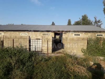 Продаю дом 3-ком. 1кв. м., этаж-1, 50-сот., стена кирпич, Сокулук.