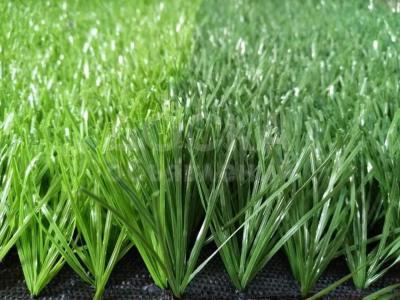 Искусственный газон