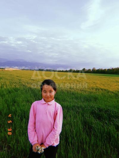 Продаю участок сельхоз назначения, 10 га Военно-Антоновка.