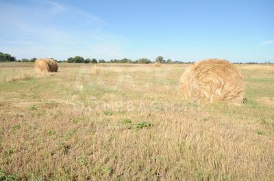 Продаю участок сельхоз назначения, 80 соток Горная Маевка.