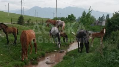 Продаю участок под строительство, 11 , 33 000 $ соток Беш Кунгой.