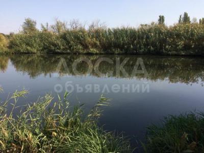 Продаю участок сельхоз назначения, 5 га бишкек.