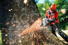 Куплю стартер-пускатель на бензопилу Урал.Есть услуги бензопилы-пилим деревья,Бишкек и пригороды.Доступные цены.