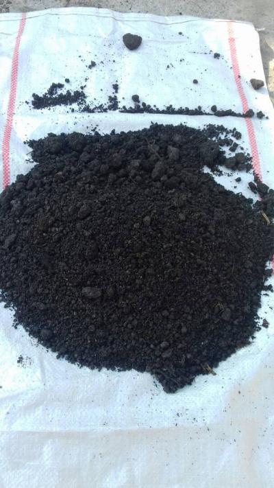 Чернозем горный рыхлый