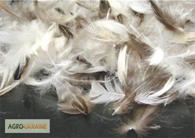 Продам подушки