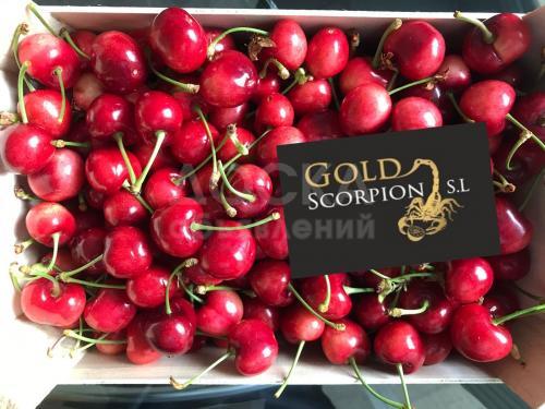 Продаем черешню из Испании