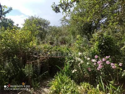 Продаю дом 3-4-ком. 68 м2кв. м., этаж-1, 13-сот., стена другое,  юж.берег, село Тамга.