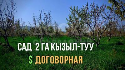 Кызыл-Туу . Продается готовый бизнес САД 2ГА Кызыл-Туу . Кызыл-Туу . Кызыл-Туу . Кызыл-Туу . Кызыл-Туу. Кызыл-Туу. Кызыл-Туу. Кызыл-Туу. Кызыл-Туу. Кызыл-Туу. Кызыл-Туу. Кызыл-Туу. Кызыл-Туу. Кызыл-Туу. Кызыл-Туу. Кызыл-Туу. Кызыл-Туу.
