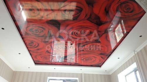 Красивые натяжные потолки Ку-Profi, от 450 с/м2