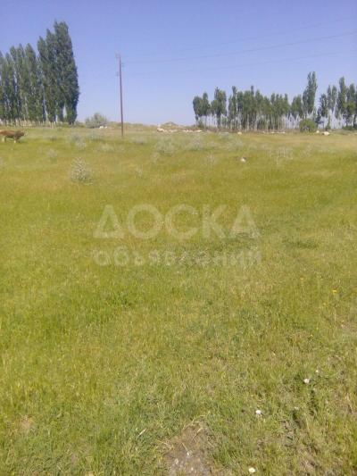 Продаю участок под строительство, 56 соток Сокулукский район. Село кызыл туу. Участок под строительство кашары.
