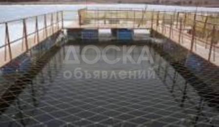 Обучение, бизнес курс "Рыбоводство"