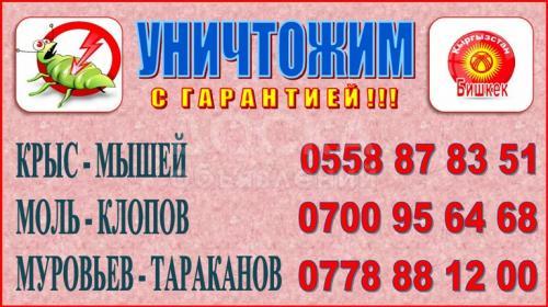 Уничтожаем крыс, мышей, клопов, тараканов, муравьев, моль