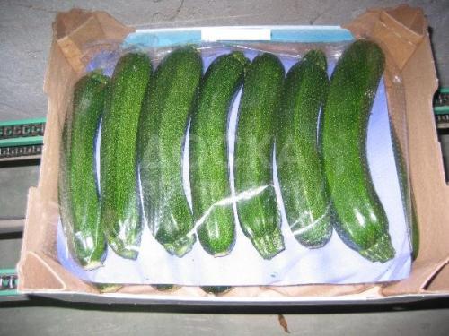 Кабачки цукини из Испании