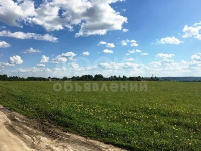 Продаю участок сельхоз назначения, 3 га Сары- Жон( Новопокровка).