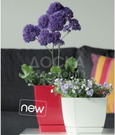 Цветочные горшки