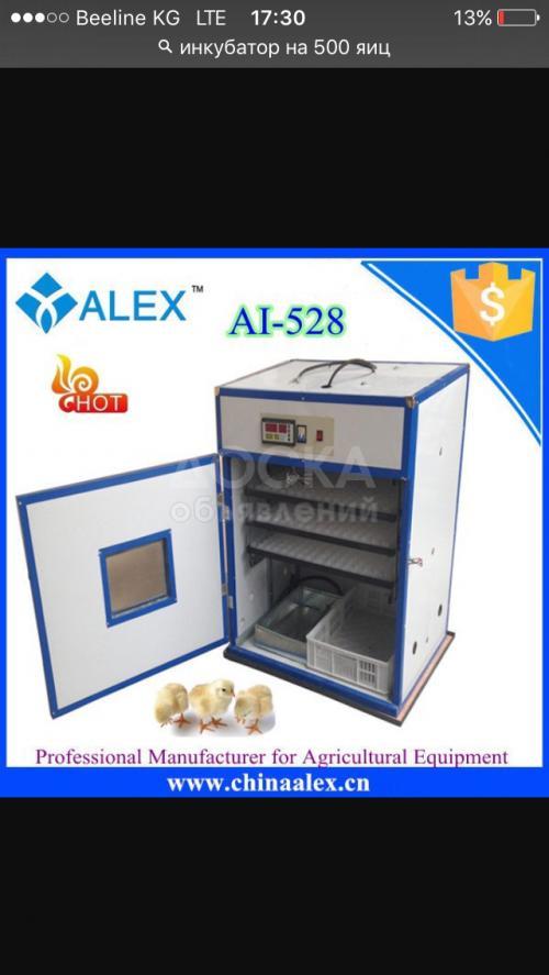 Инкубатор новый