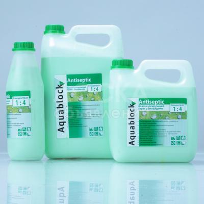 Влагоизолирующий грунт с биоцидами Antiseptic